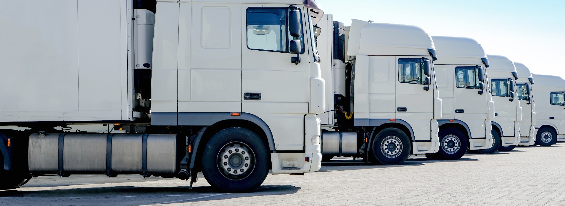Lastebiltransport, flere hvite lastebiler står ved siden av hverandre